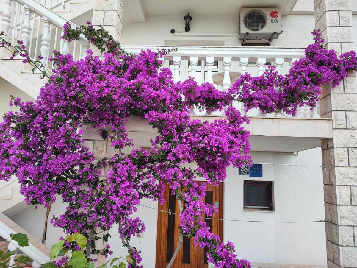 Apartments Dodik Orebic Ngoại thất bức ảnh